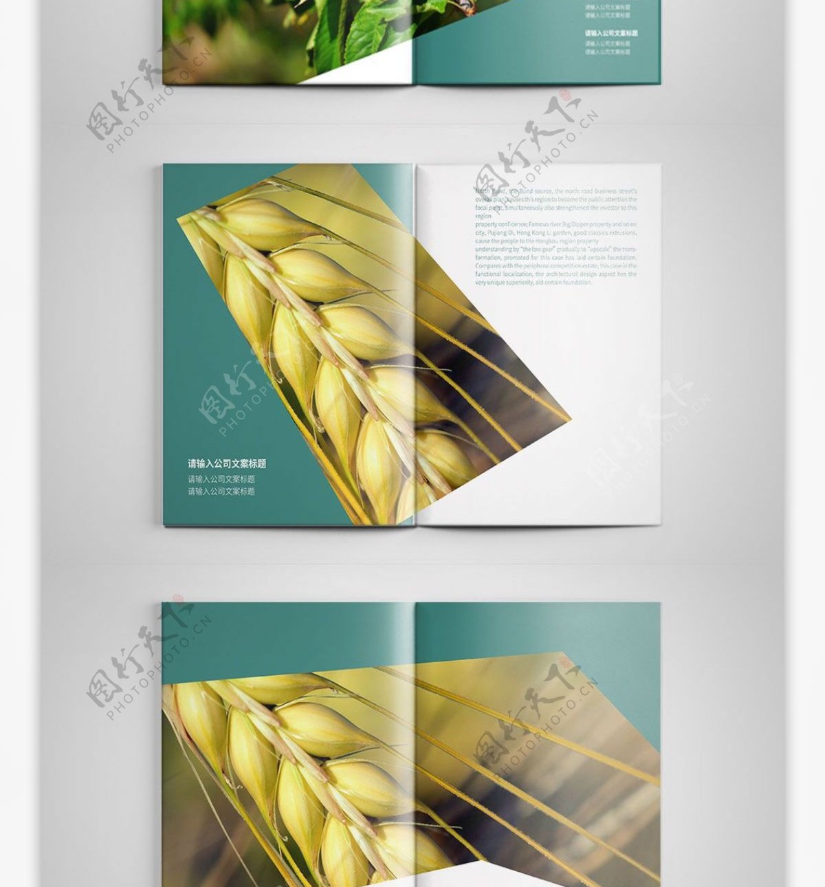 几何创意青色农业宣传画册设计PSD模板