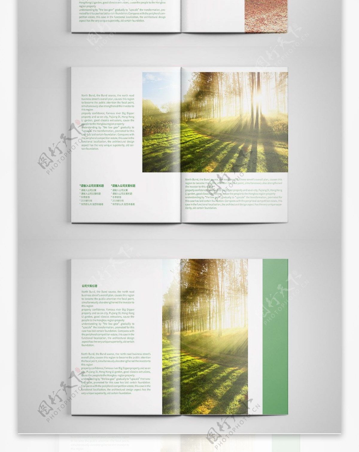 创意绿色森林旅游画册设计PSD模板