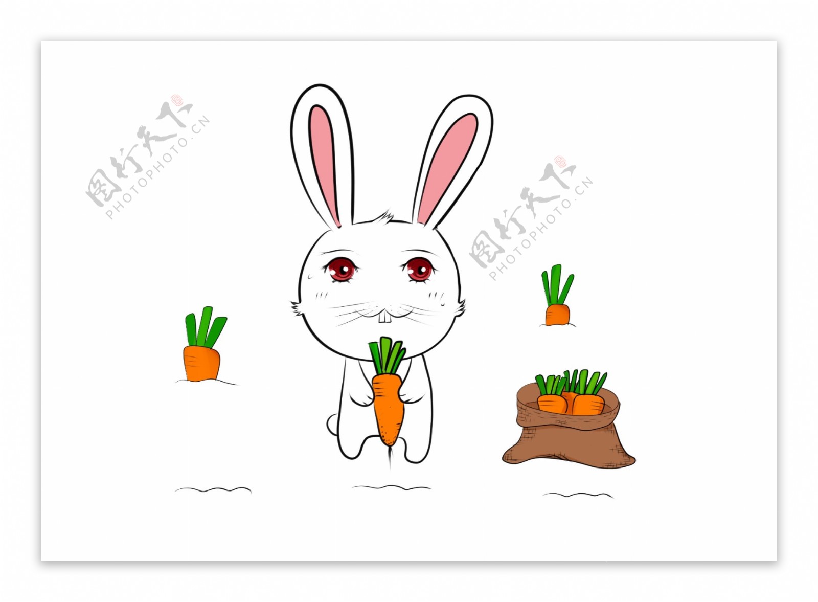 小兔子拔萝卜卡通插画