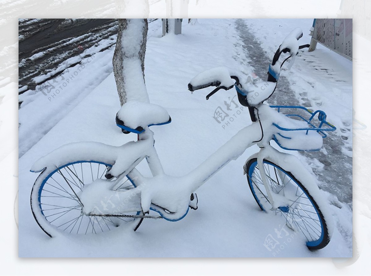 雪中单车