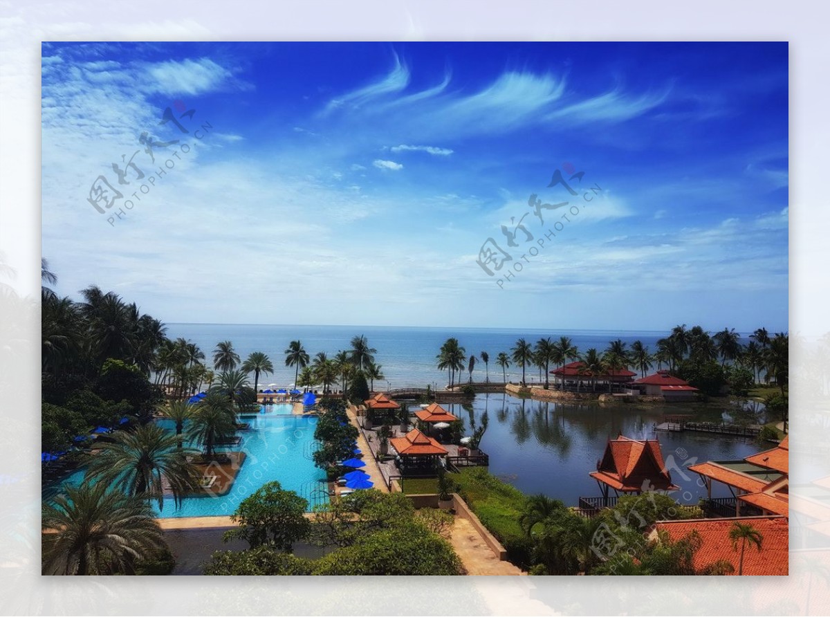 泰国度假村热带泳池棕榈树