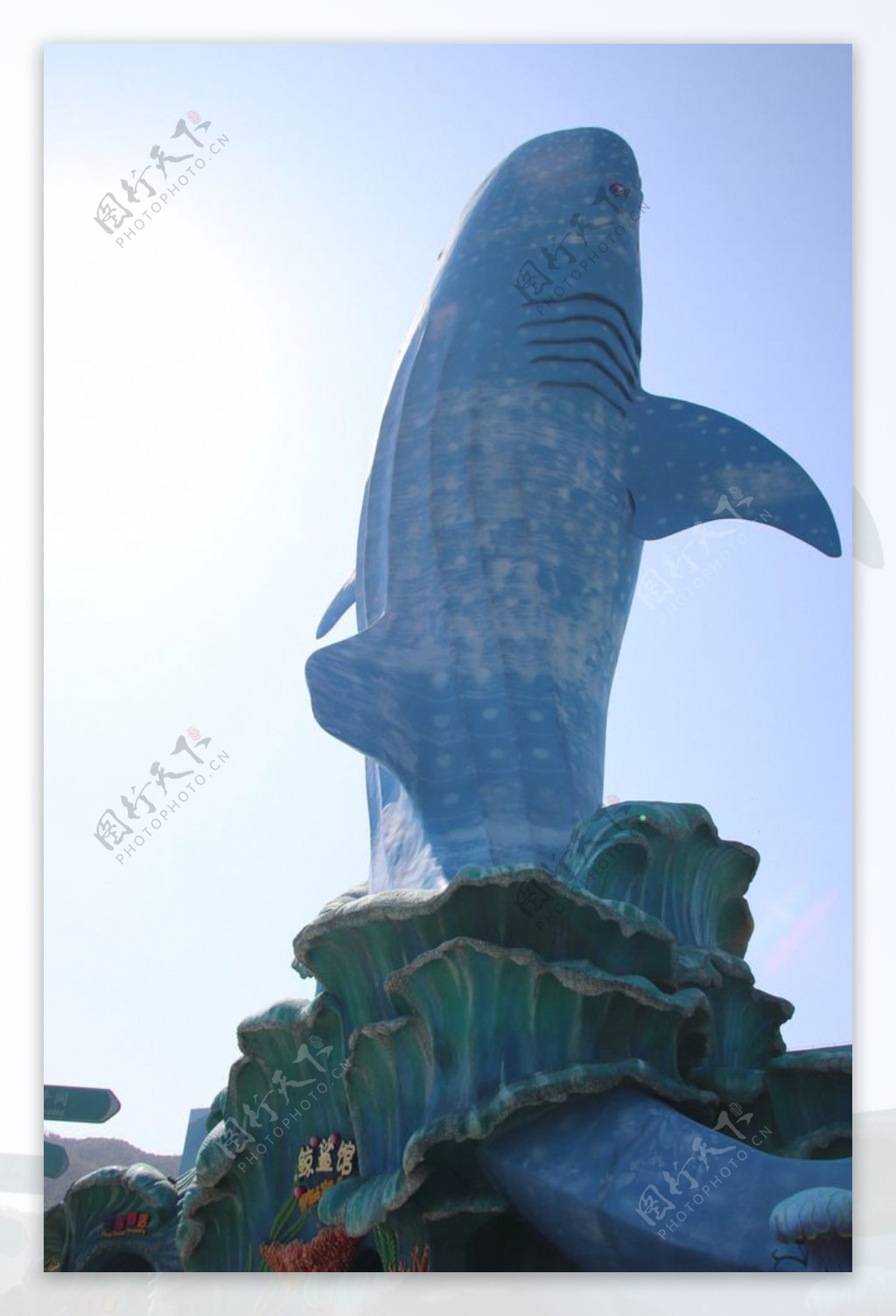 鲸鲨馆