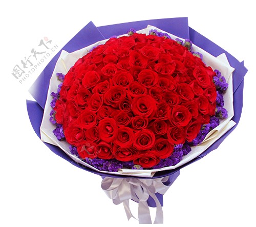浪漫美丽红色玫瑰花花朵花束实物元素