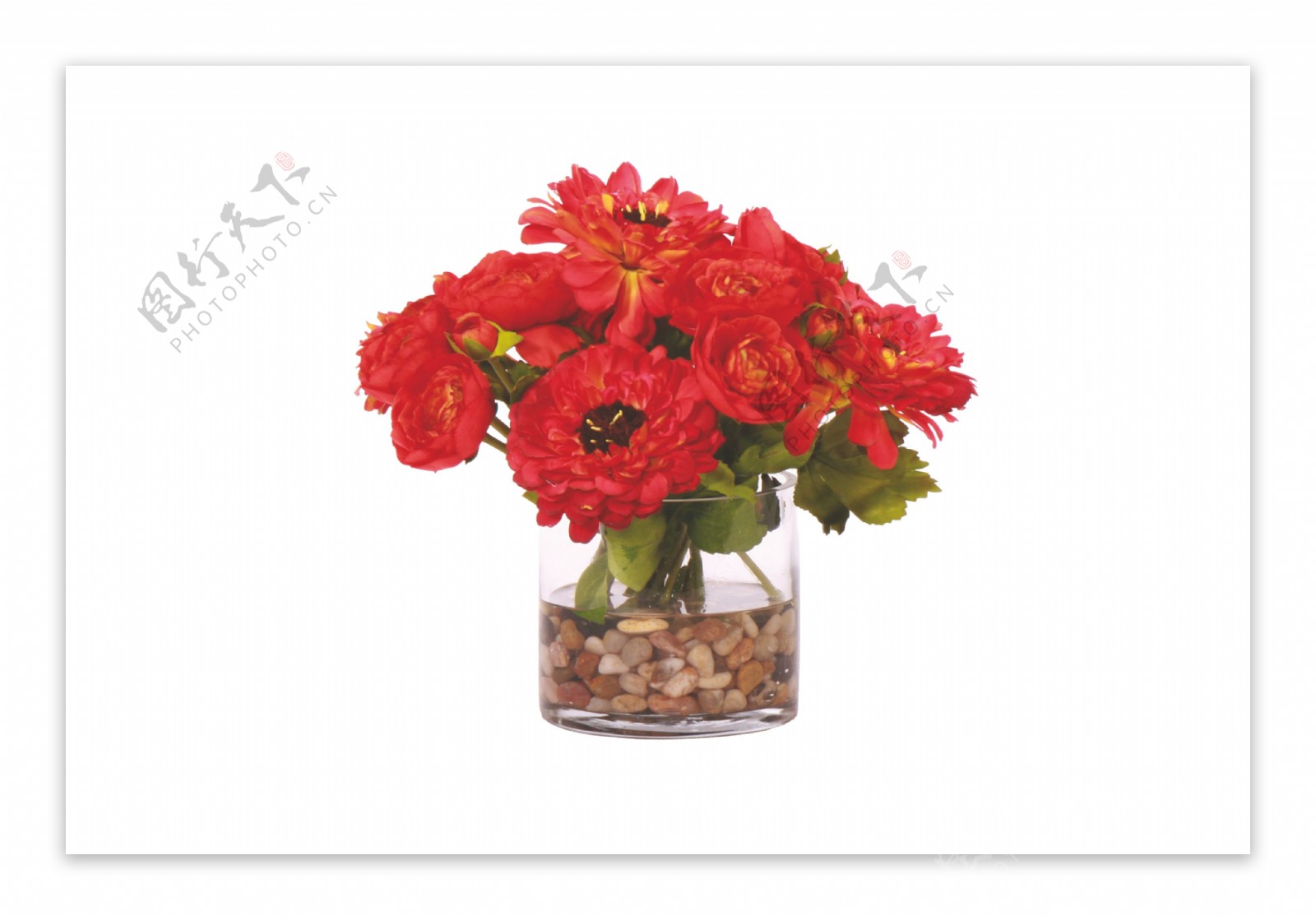 艳丽大红色花朵花束实物元素