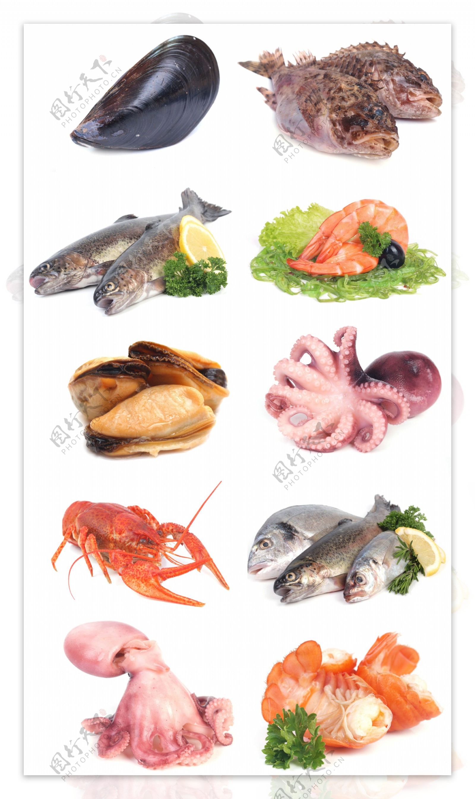 各种海鲜食材