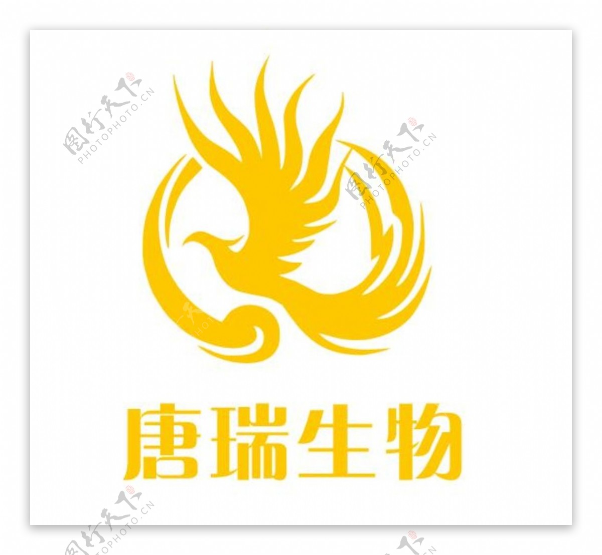 唐瑞生物logo