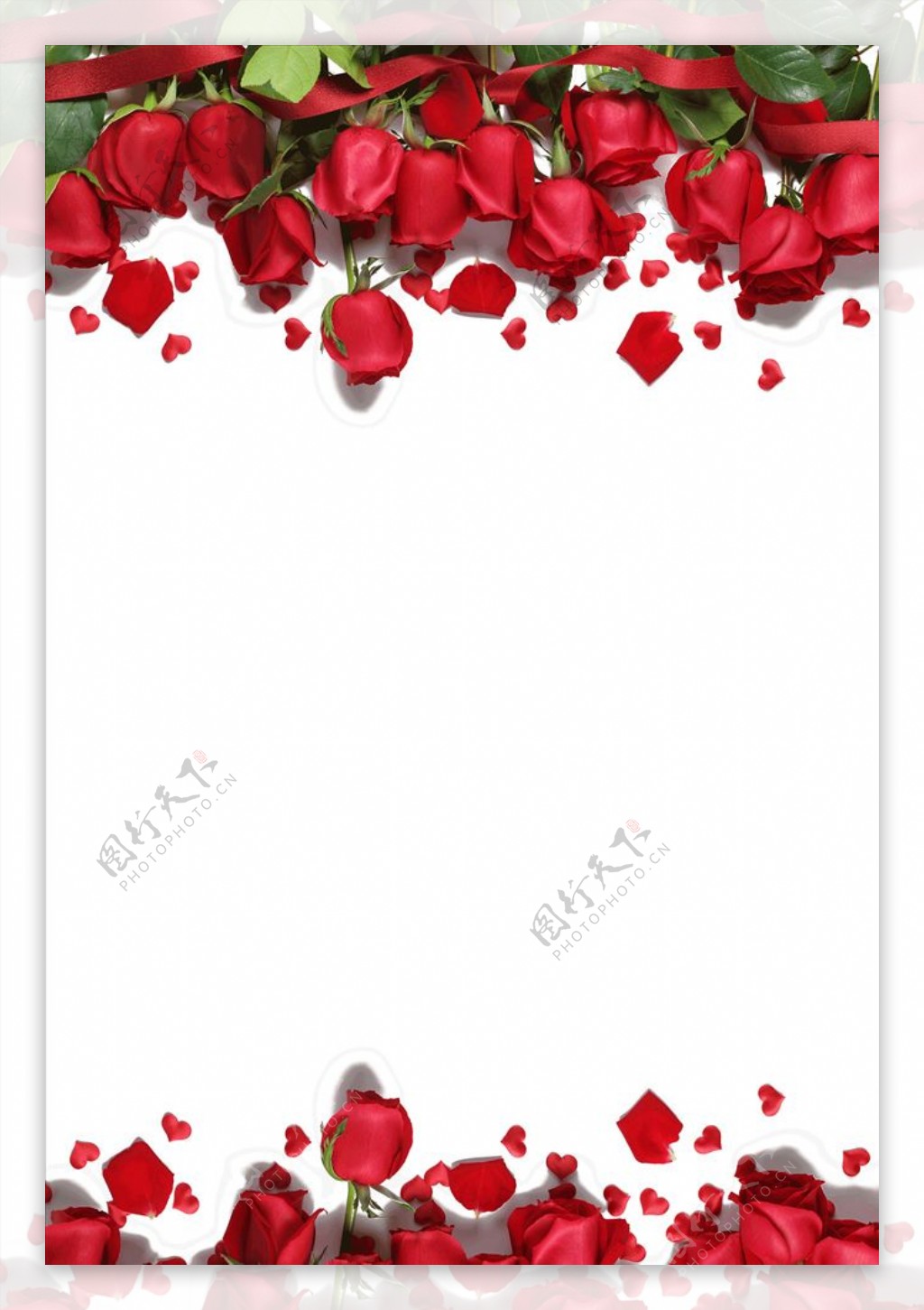 红色玫瑰花边框
