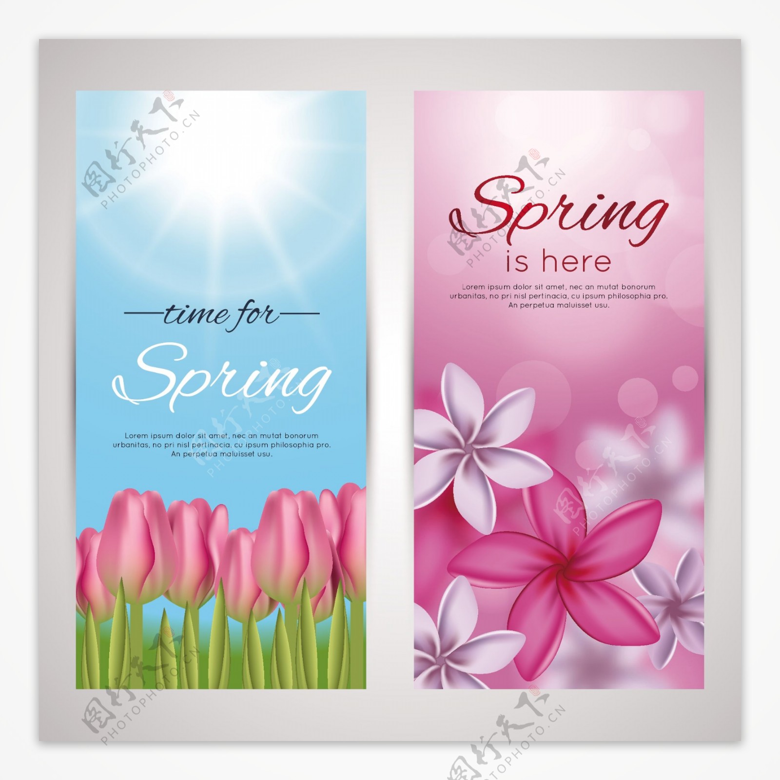 唯美春天花朵促销海报设计