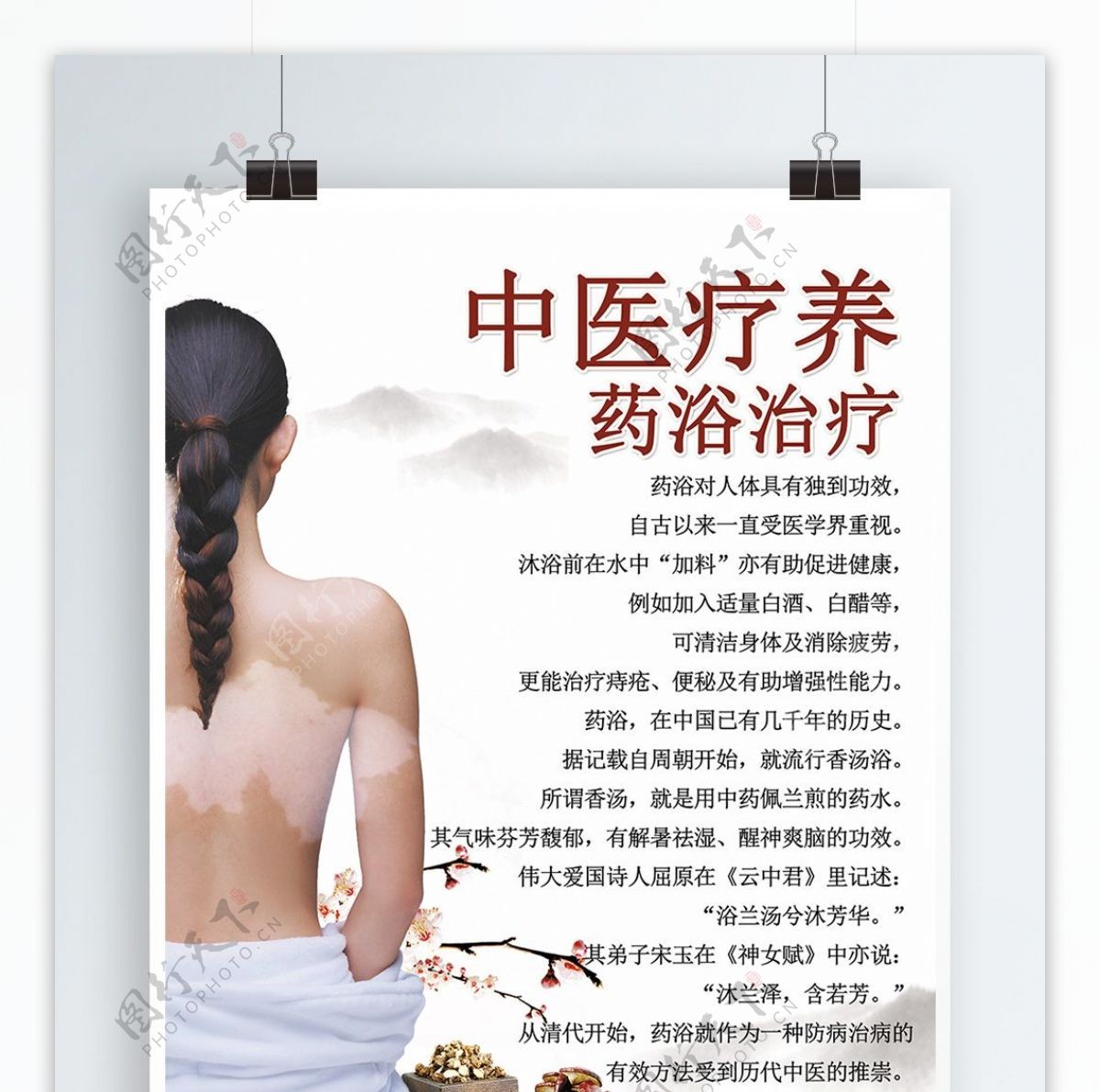 中医疗养医疗卫生展架海报