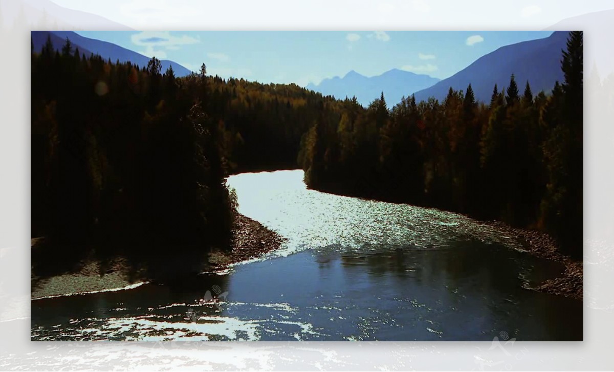 潺潺的小溪流进森林素材视频