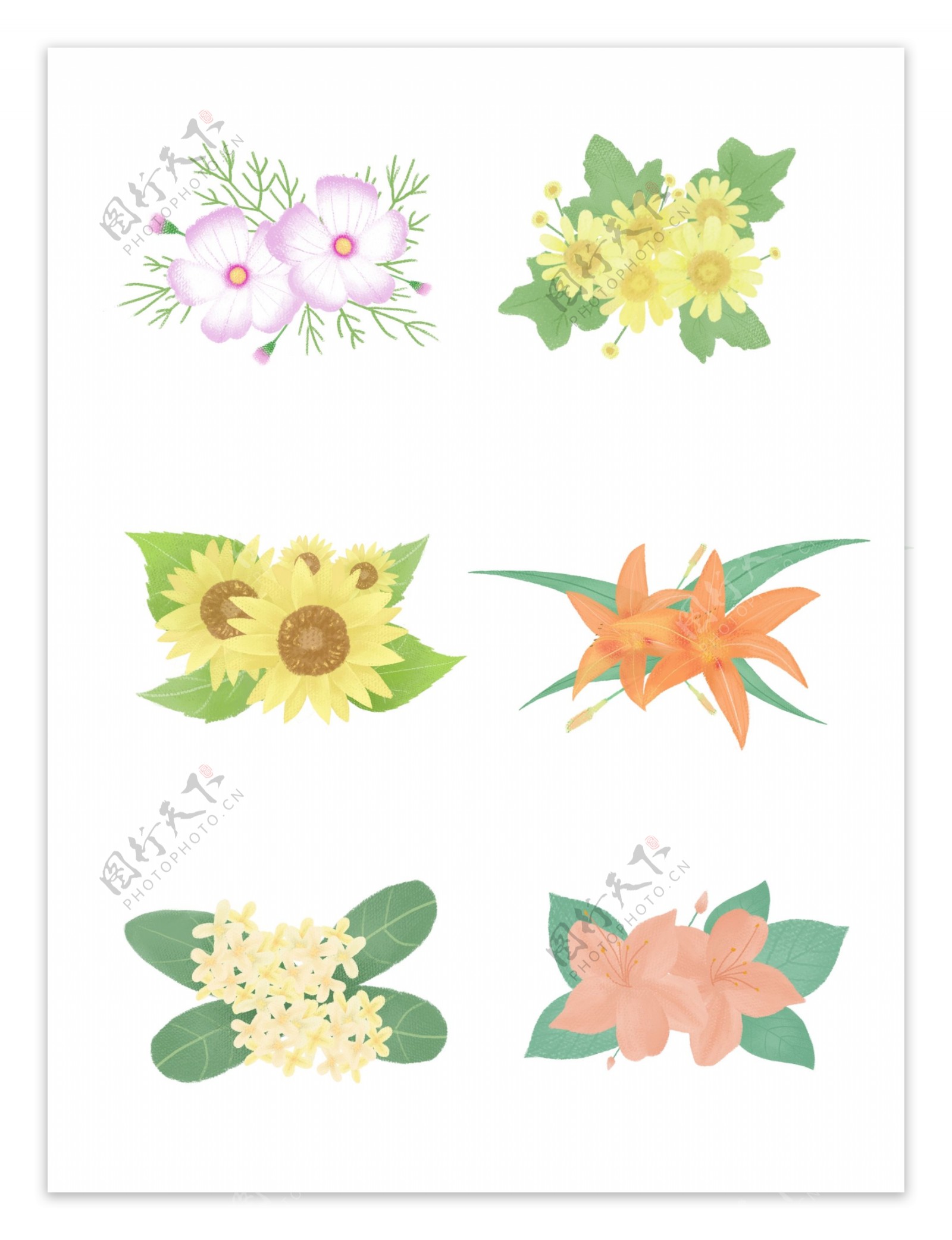 手绘花卉插画植物素材套图