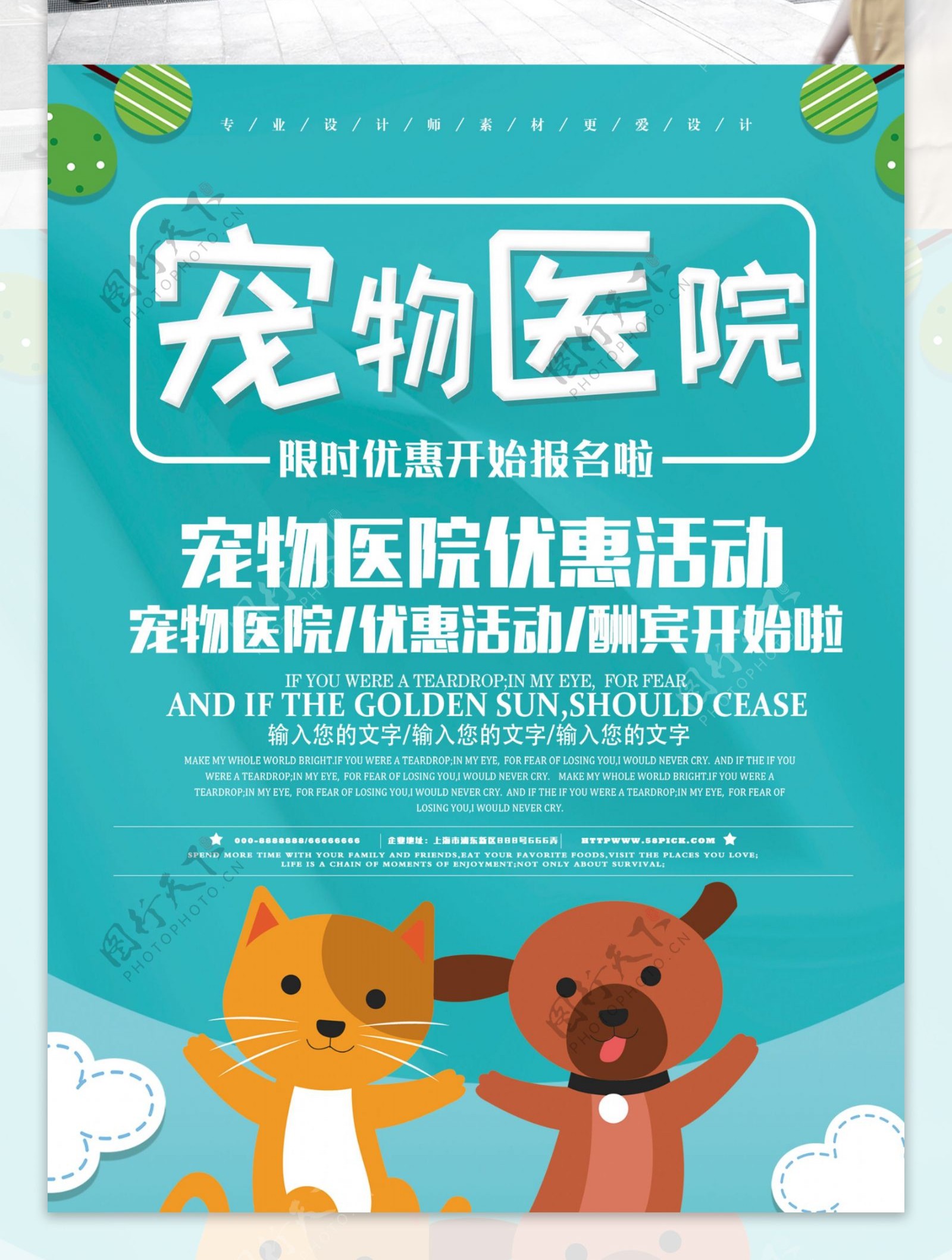 小清新宠物医院促销海报