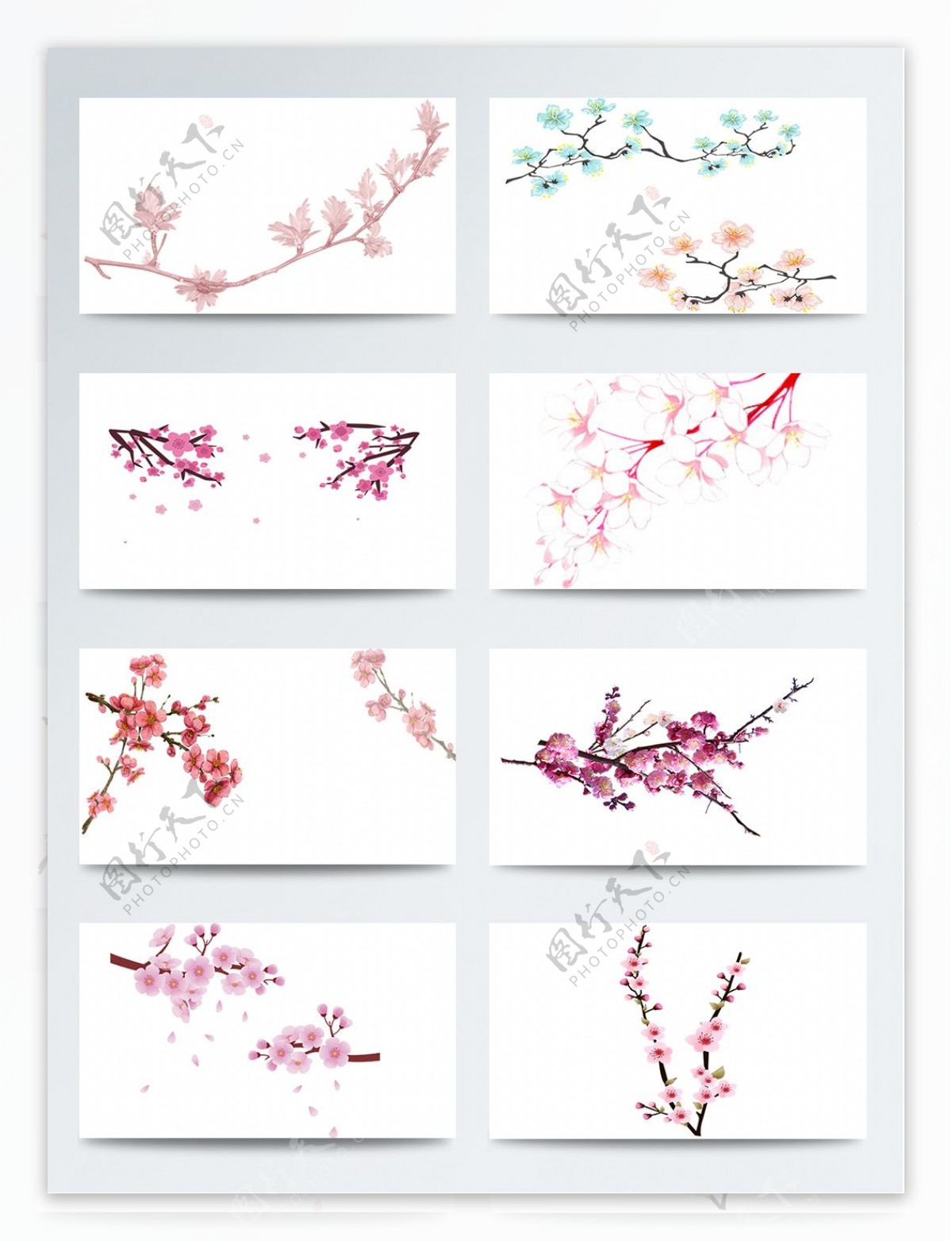 中国风水墨水彩樱花树枝素材