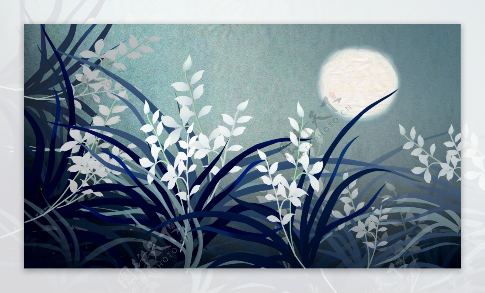 月夜下的白色花草卡通背景