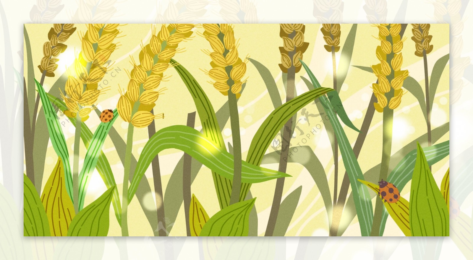 唯美植物麦穗插画背景设计