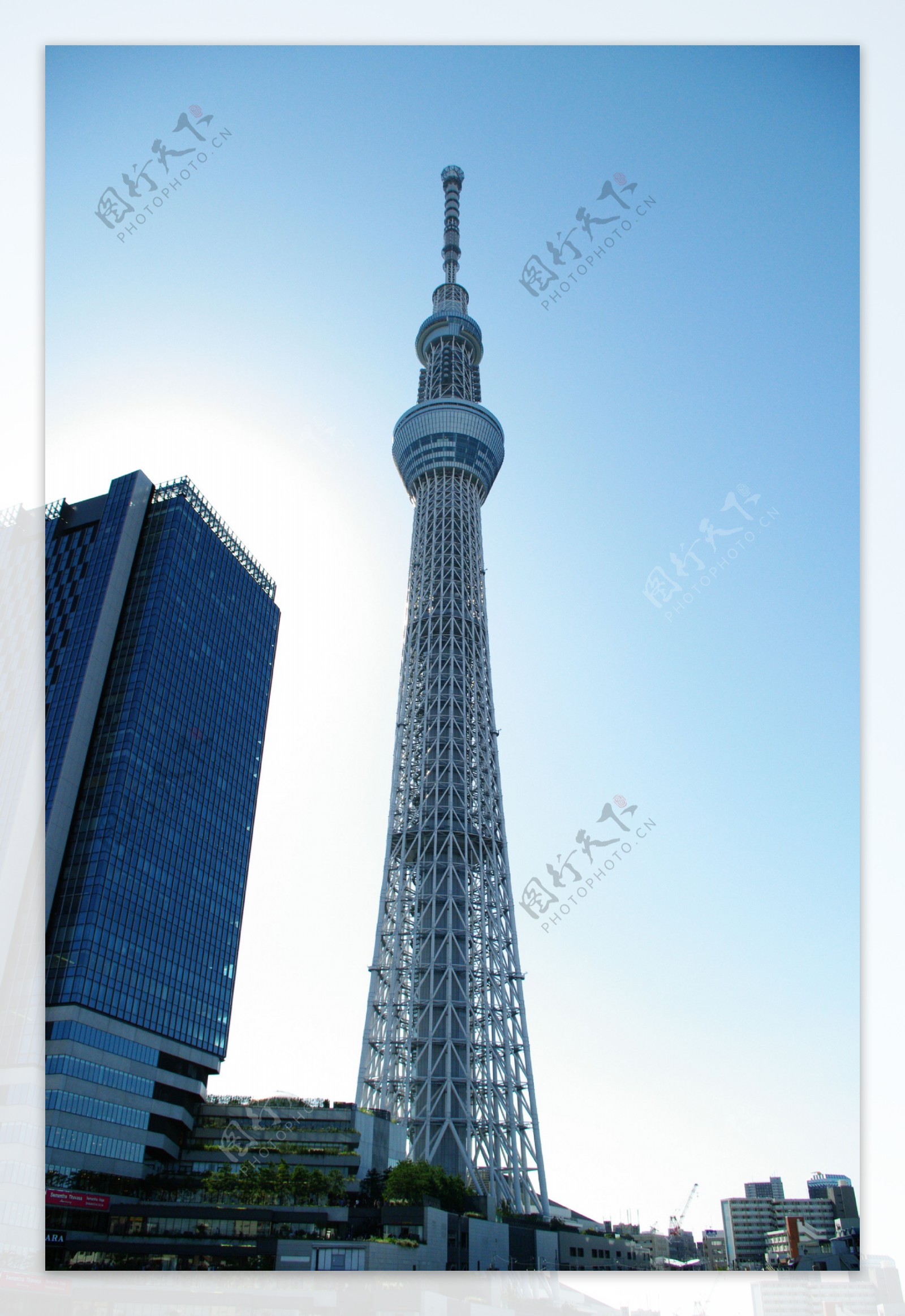 日本晴空塔