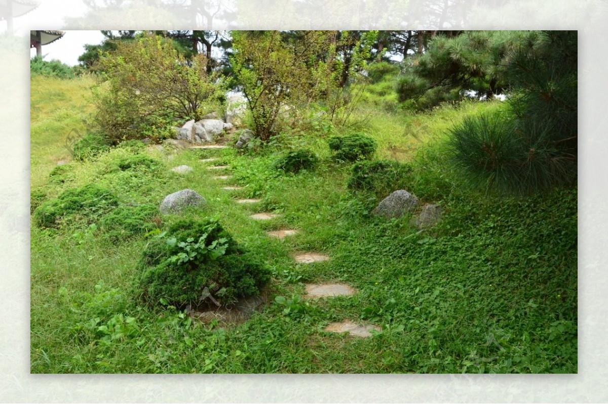 南植物园风景