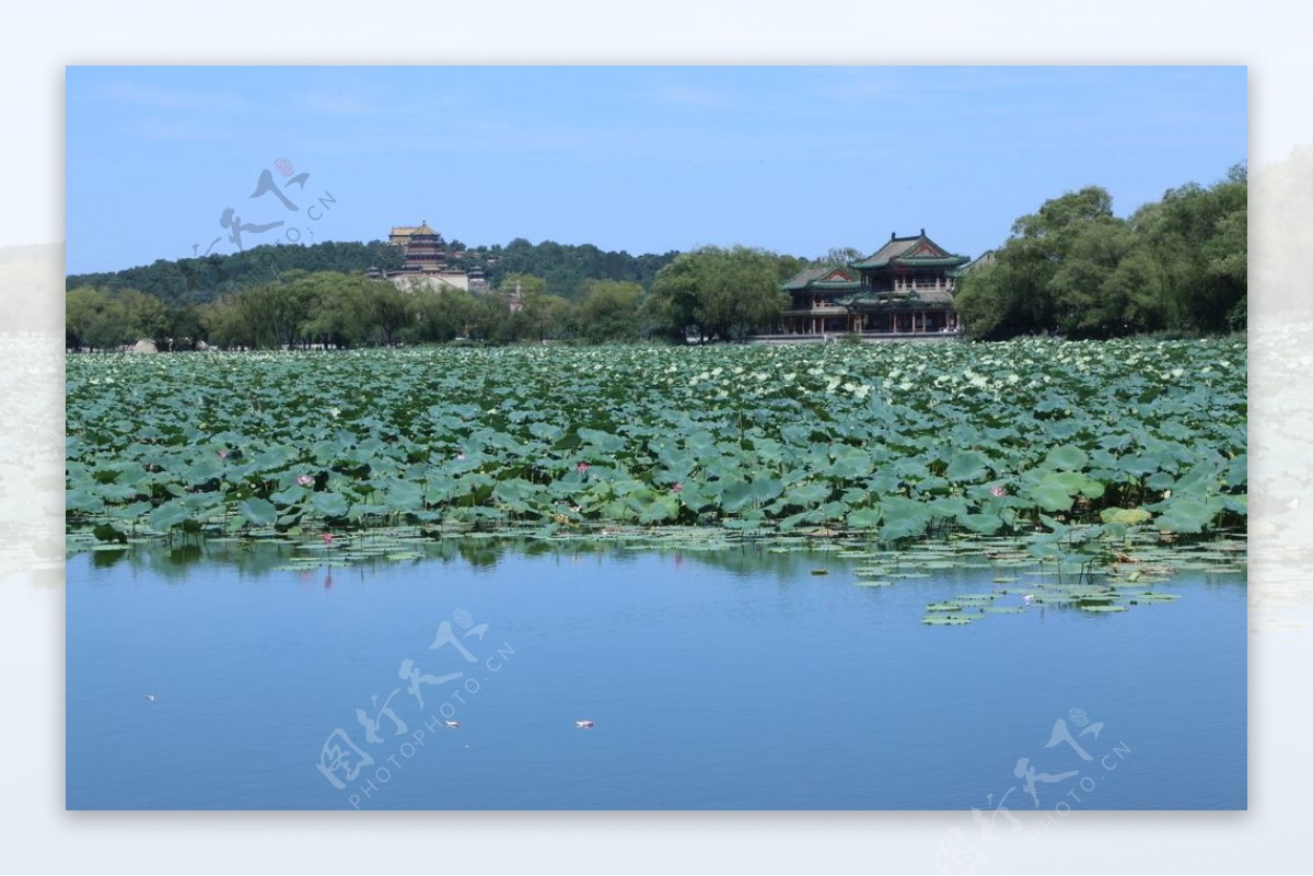 颐和园风景