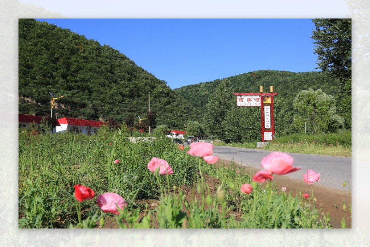 乡村风景