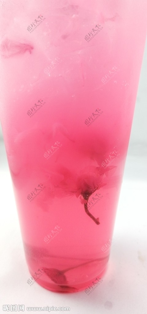 樱花饮品樱花在杯子中漂浮