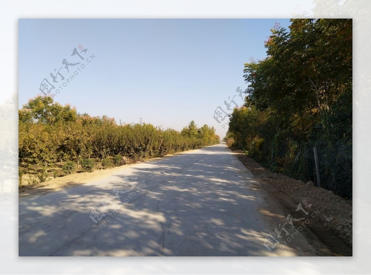 乡村道路风景