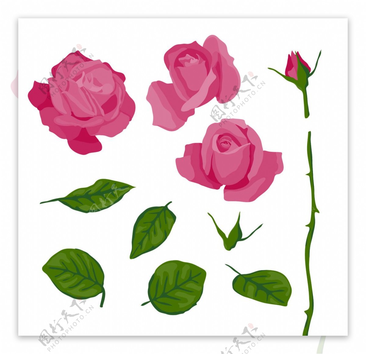 粉红色玫瑰图案