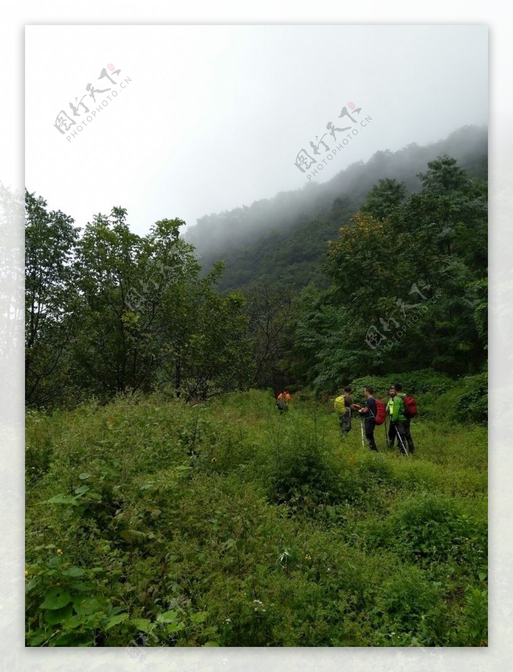 深山里的风景