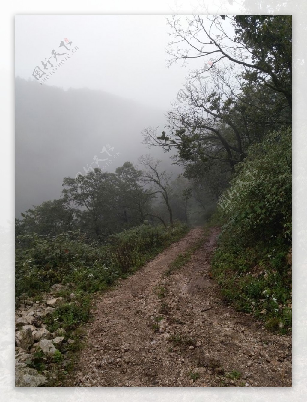 弯弯的山路