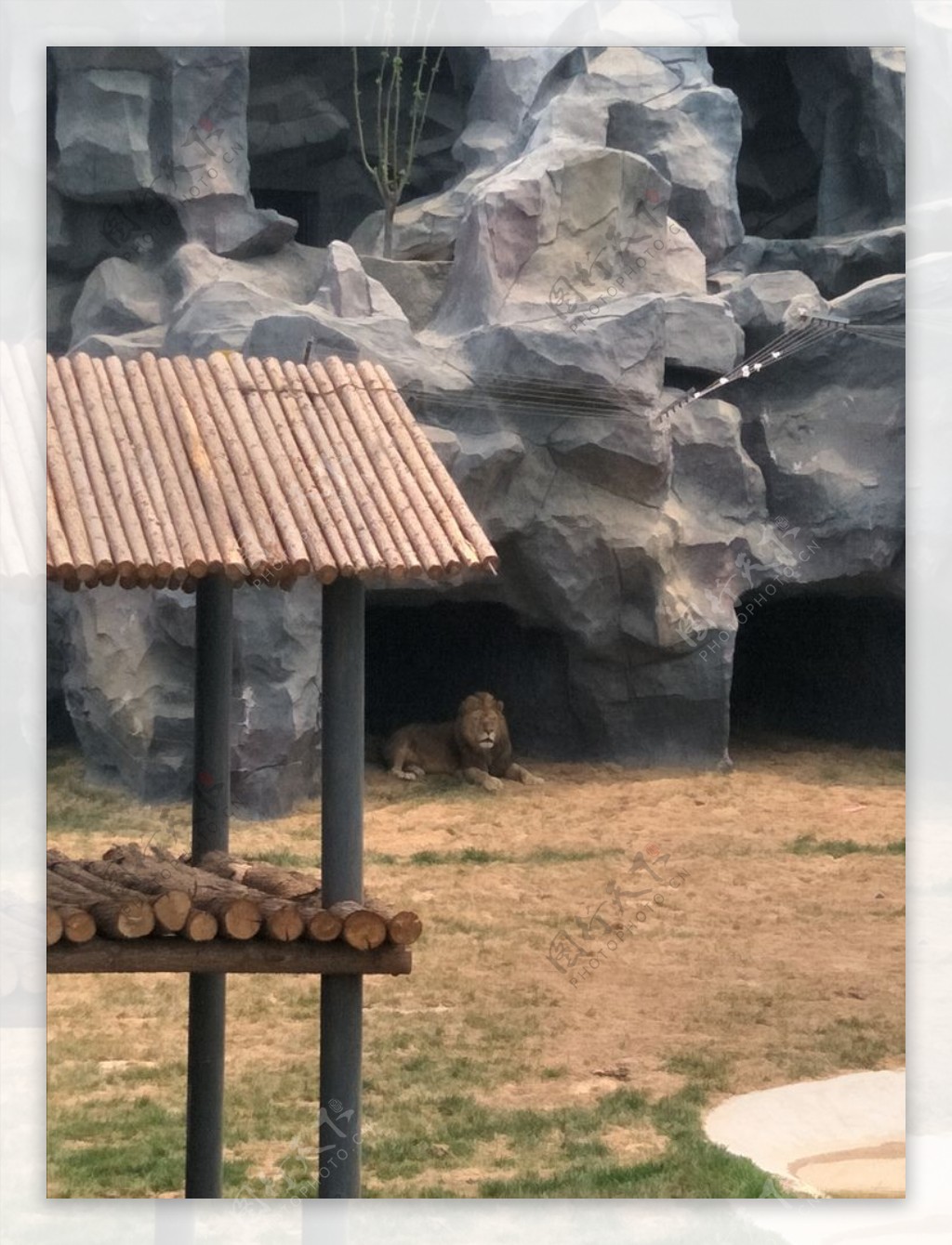 狮虎山动物园