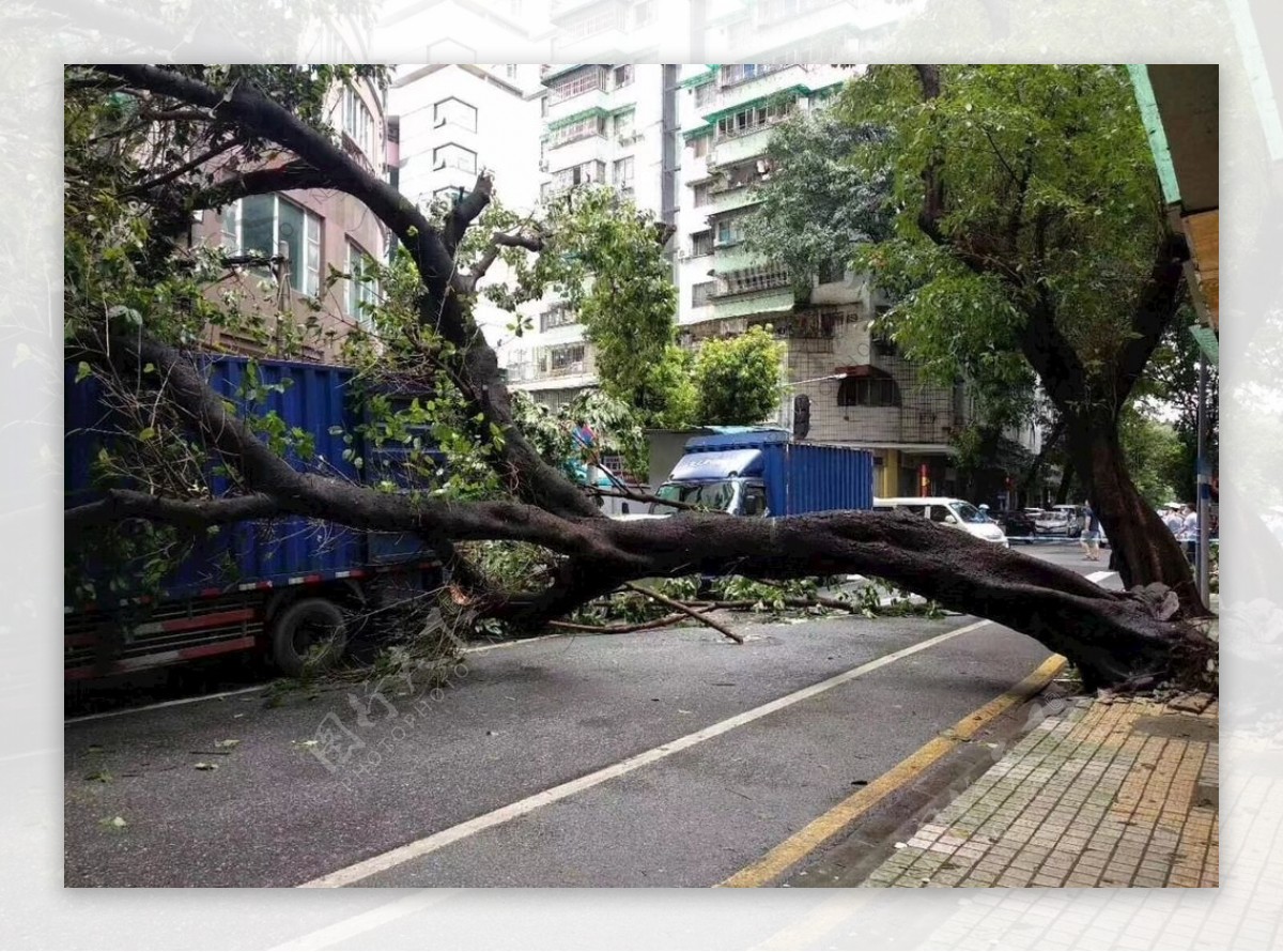 广州台风