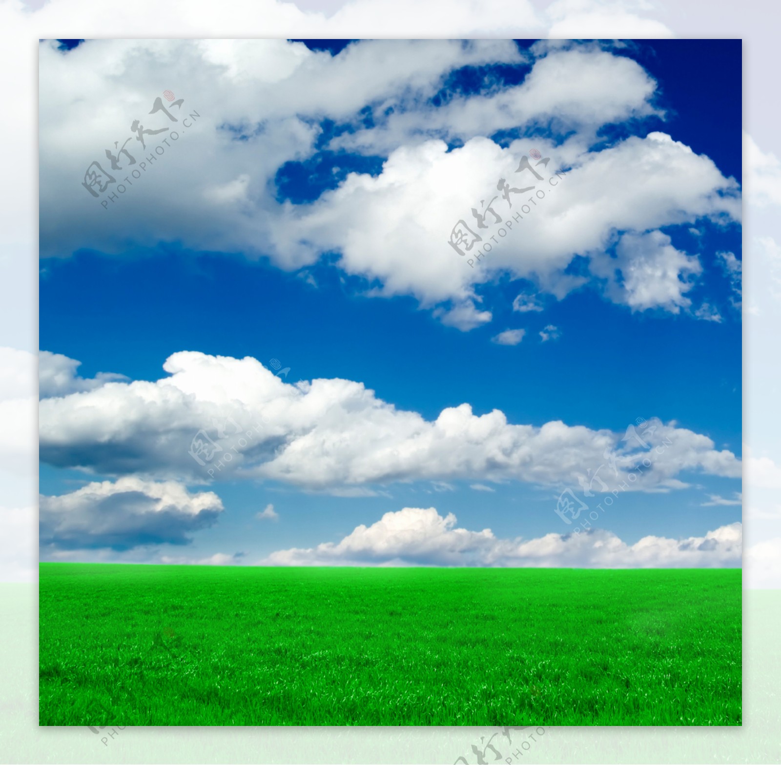 蓝天白云下的草地