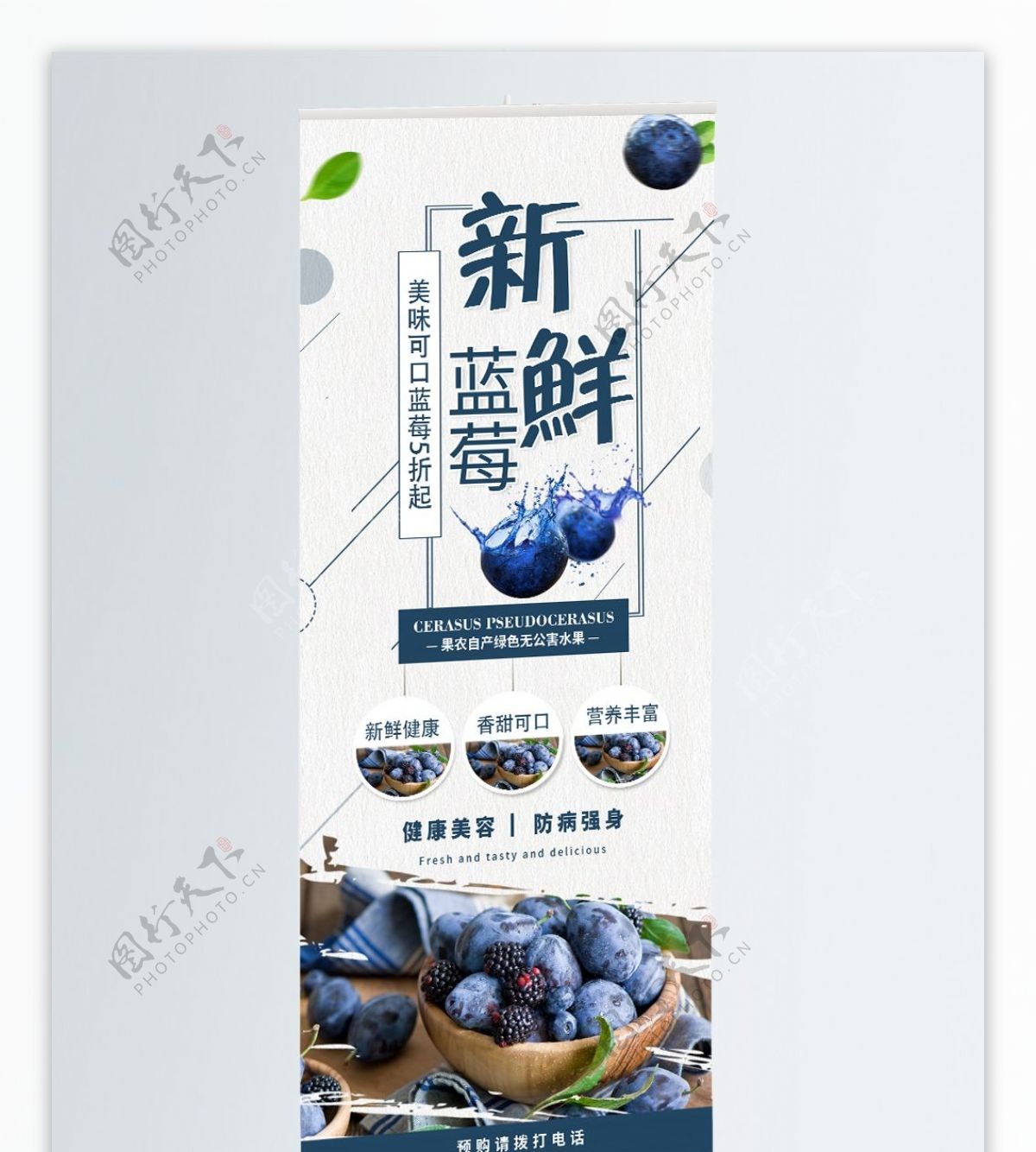 简约创意水果美味新鲜蓝莓果园促销X展架