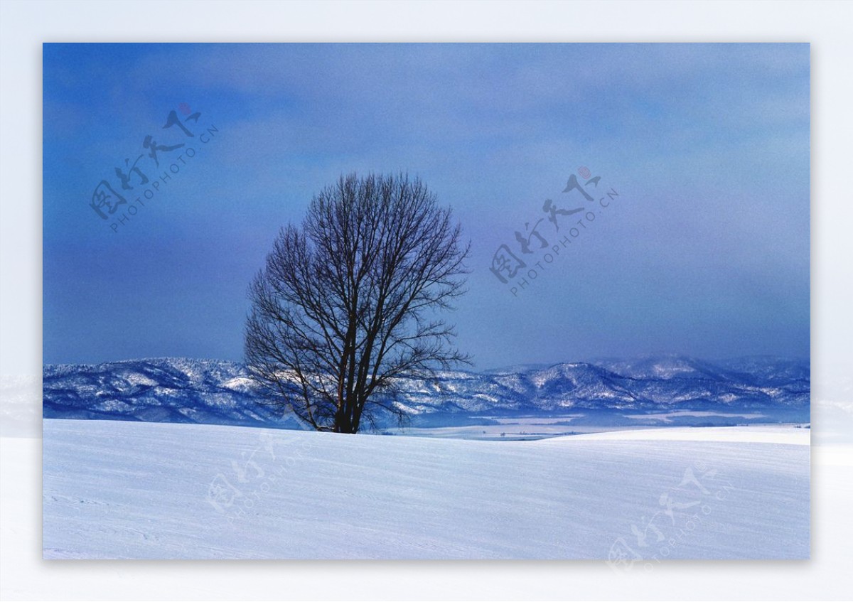 冬天雪景