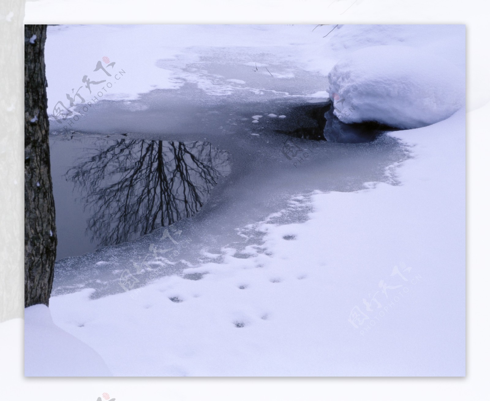 冬天雪景