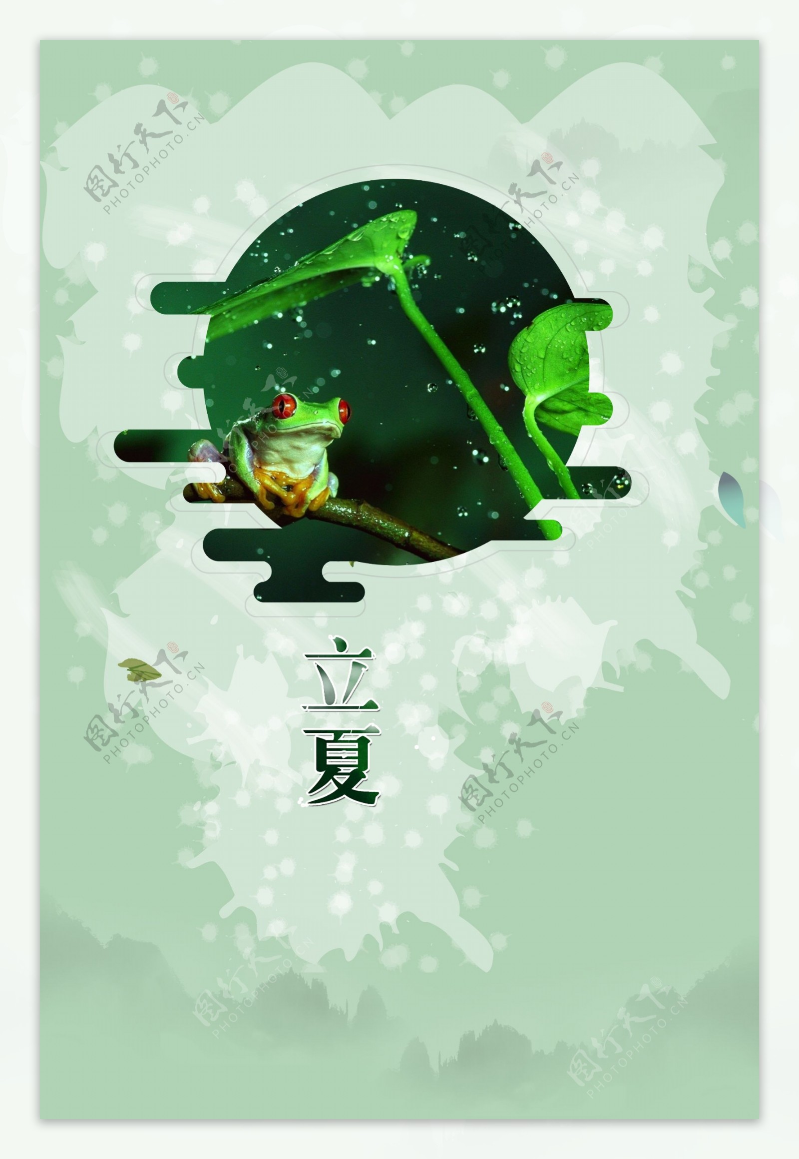 清新立夏节气青蛙绿叶海报背景设计