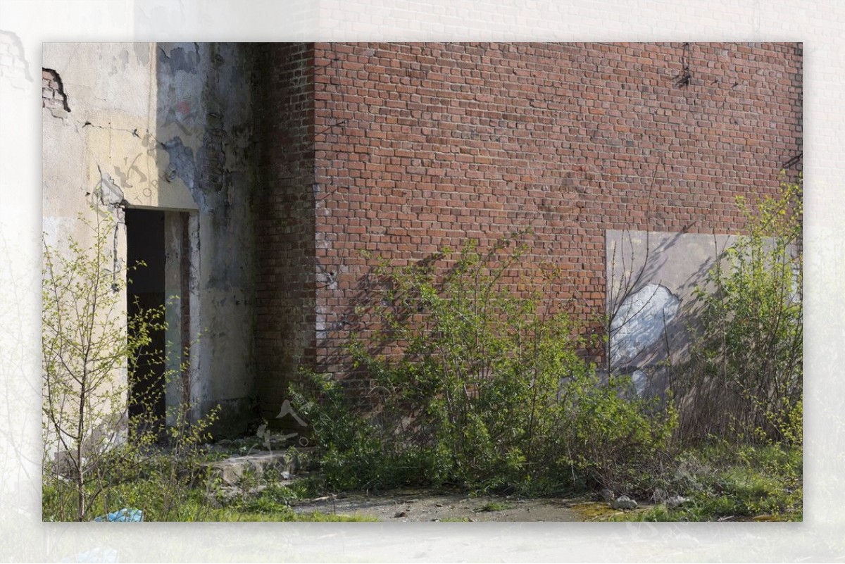 荒草与废弃建筑物