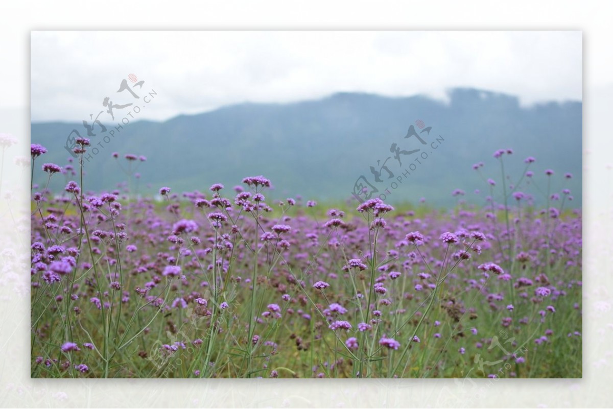 电脑高清自然风光风景壁纸