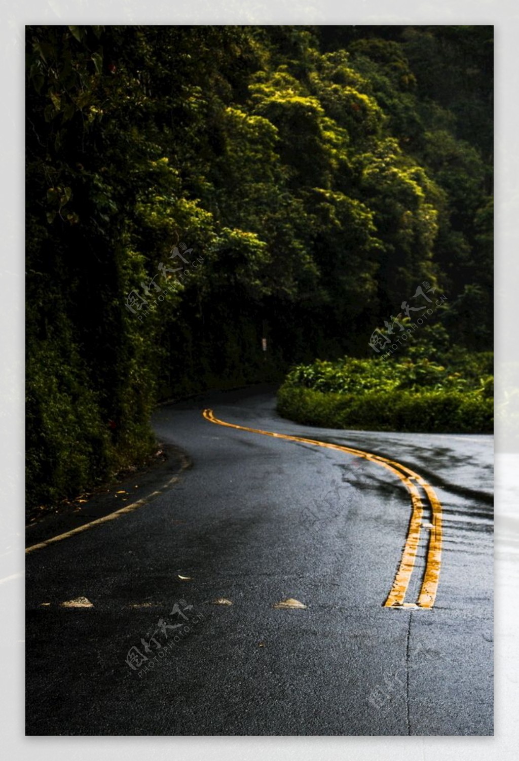 雨后柏油马路