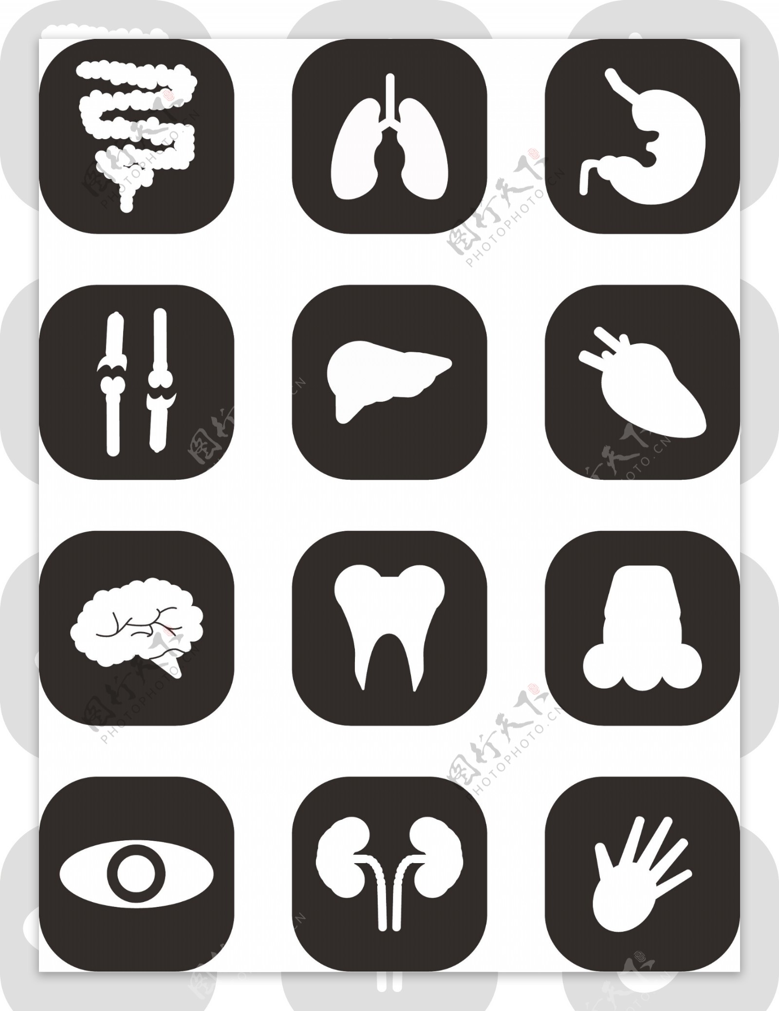 人体器官icon简约黑白可商用元素