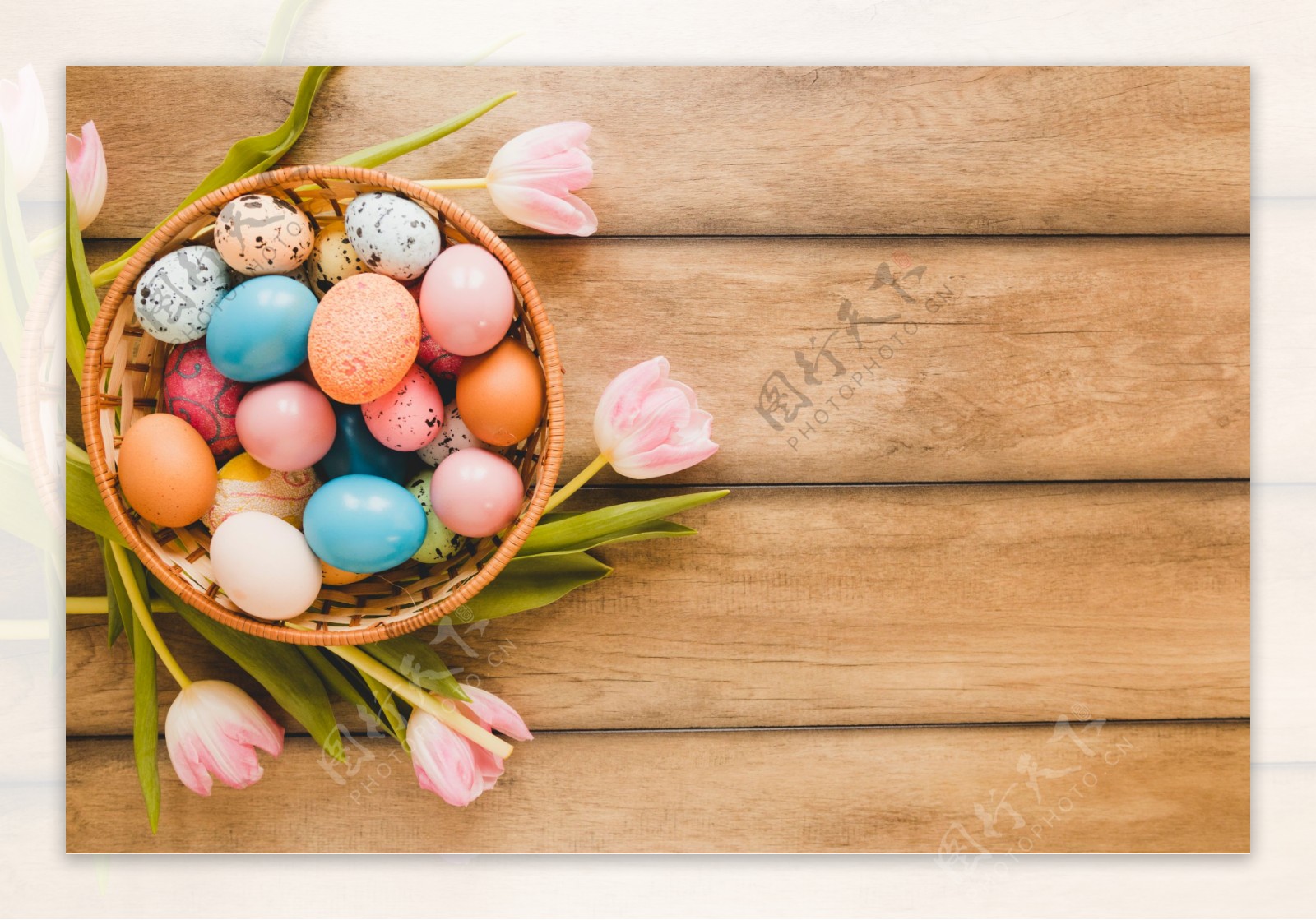 郁金香和彩色鸡蛋