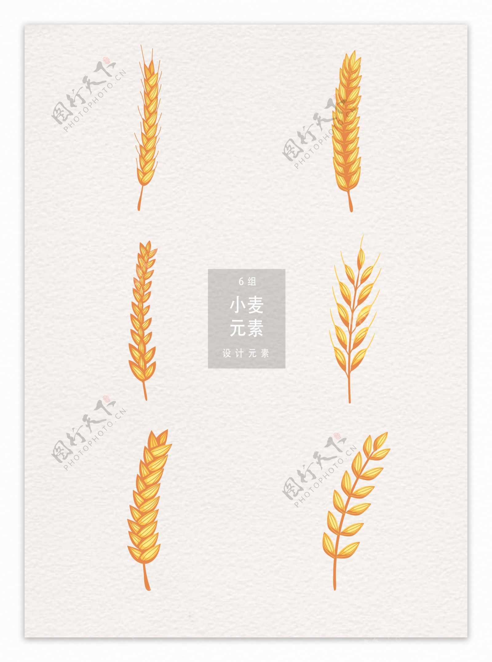 小麦设计元素矢量素材