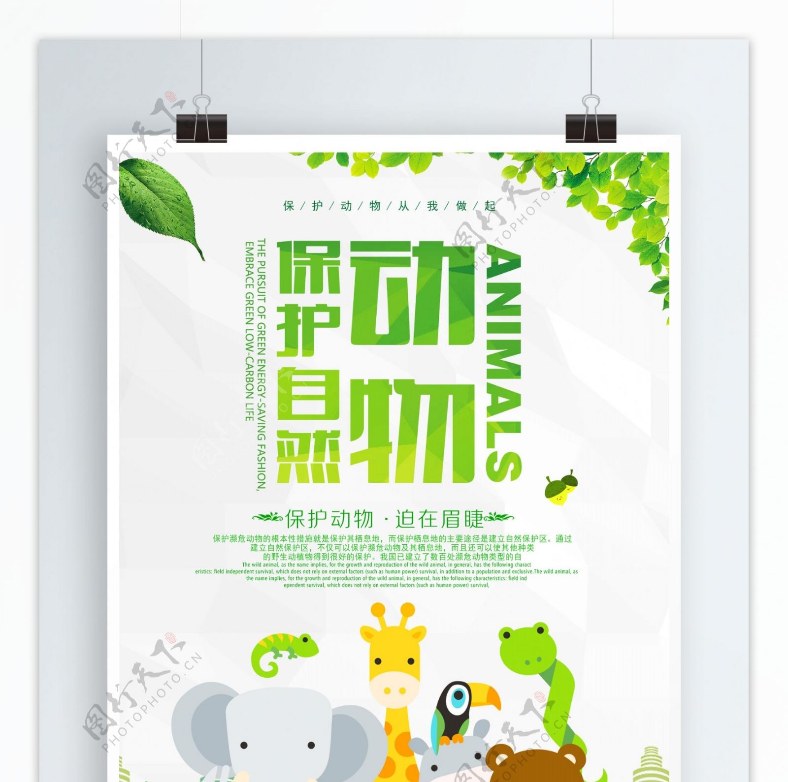 小清新保护动物海报
