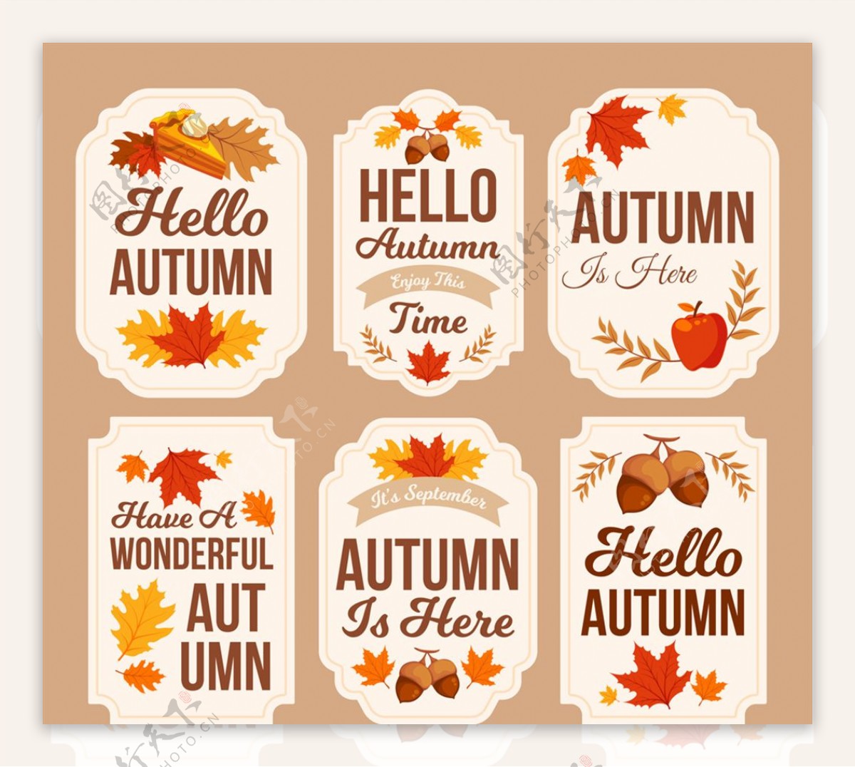 6款彩色秋季标签矢量素材