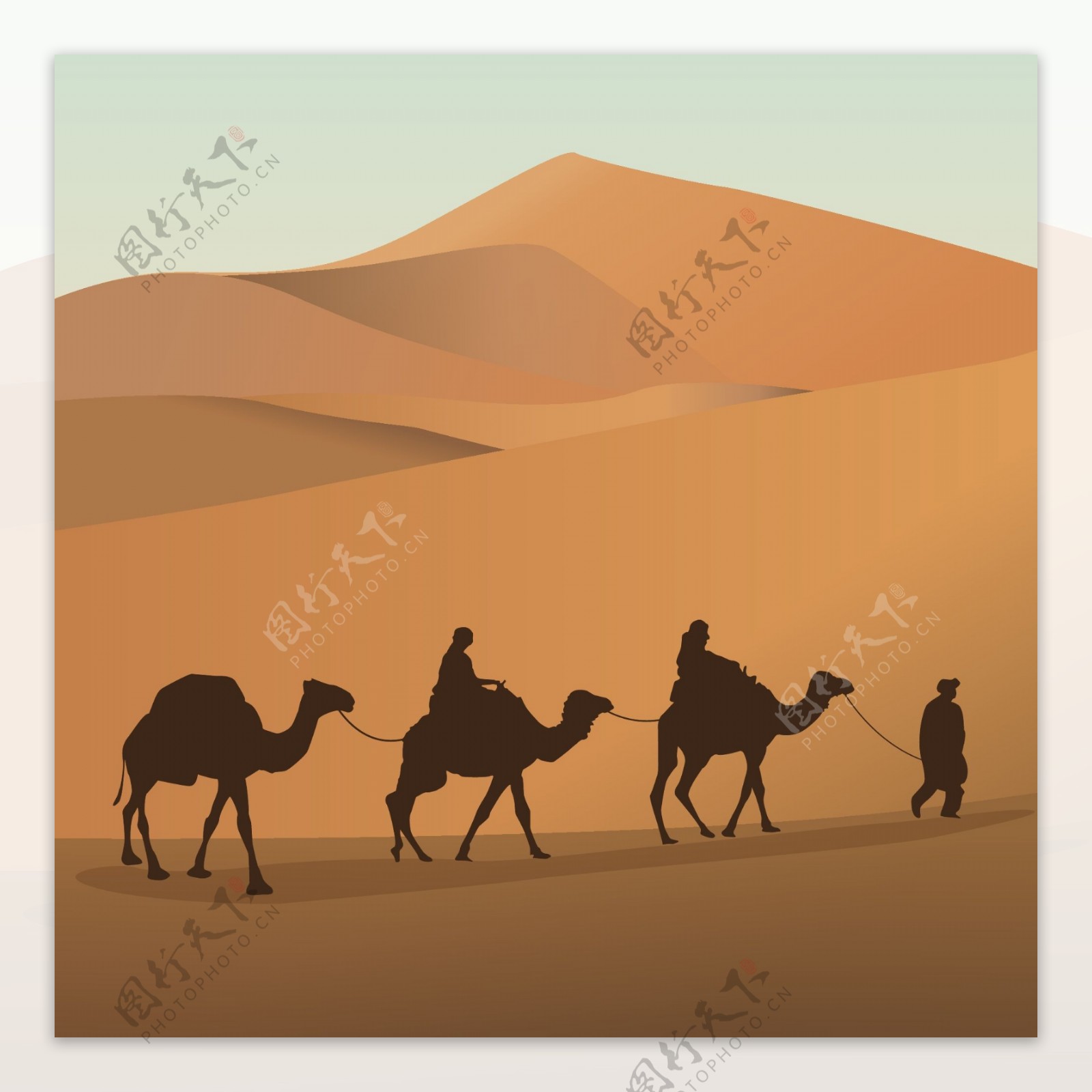 沙漠风光骆驼