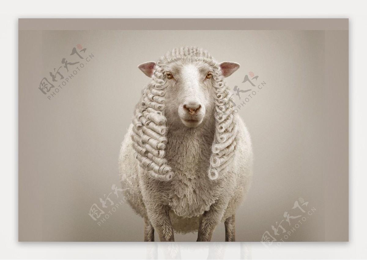 美羊羊