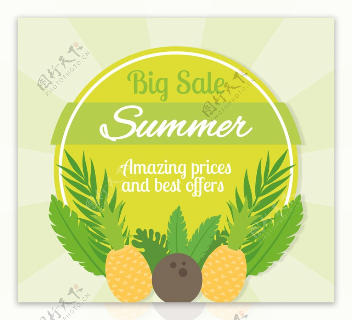 夏季菠萝和椰子装饰促销标签矢量