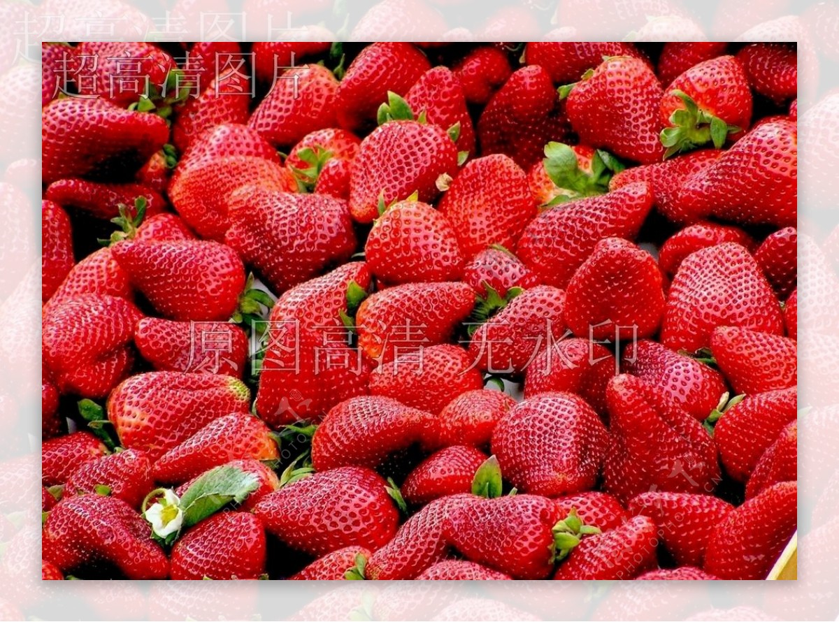 水果草莓背景摄影底图