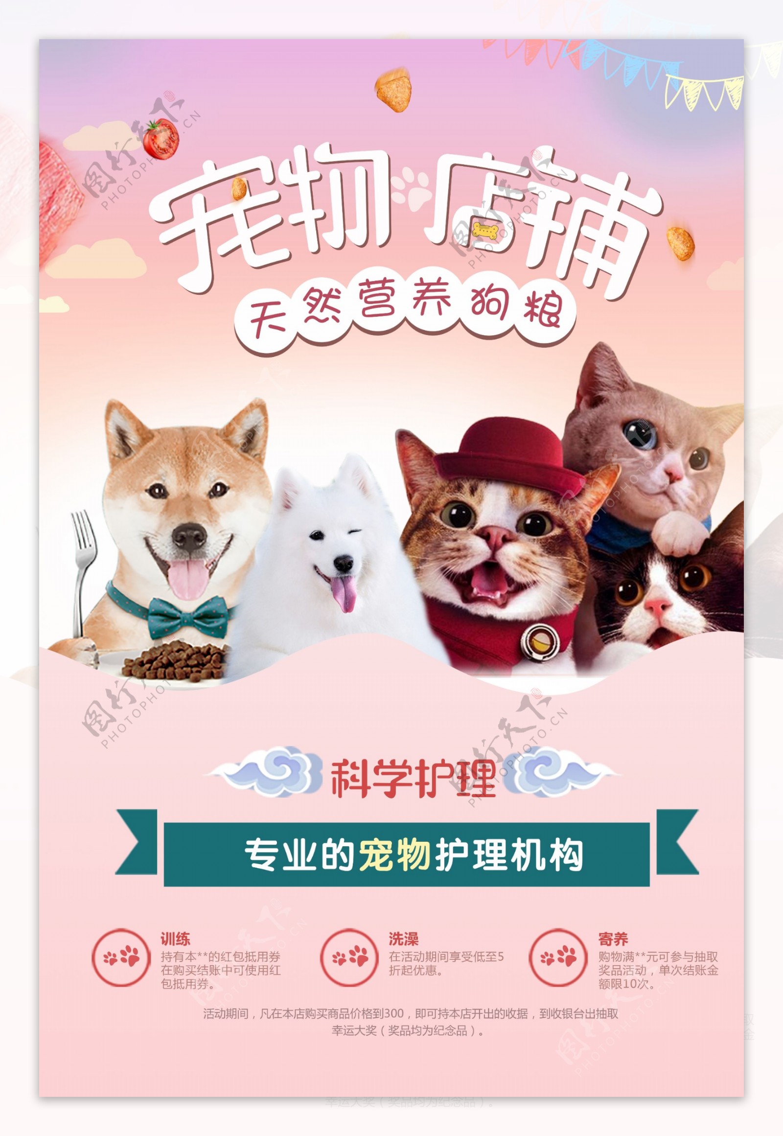 宠物店铺猫粮宠物促销海报