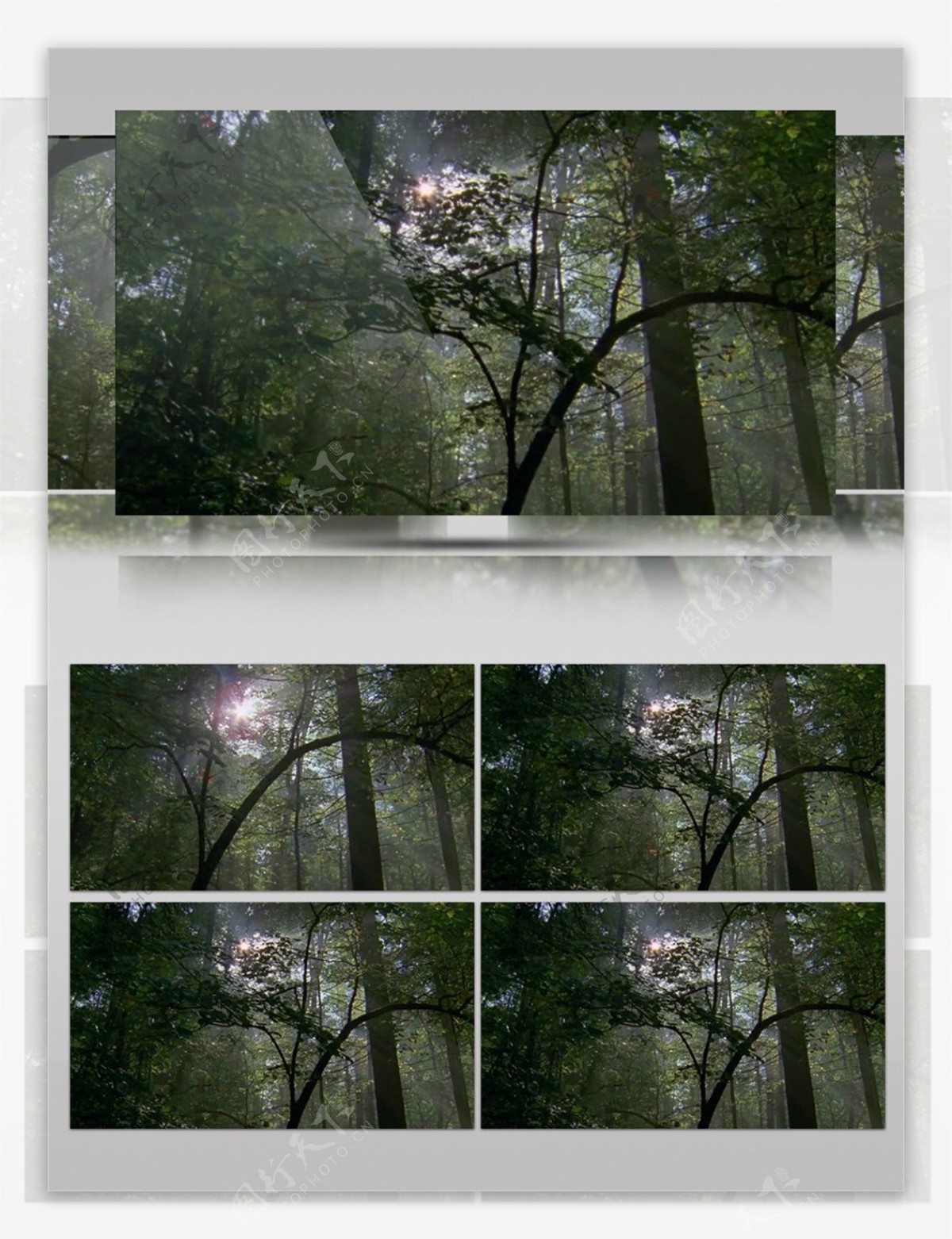 阳光穿越森林视频音效