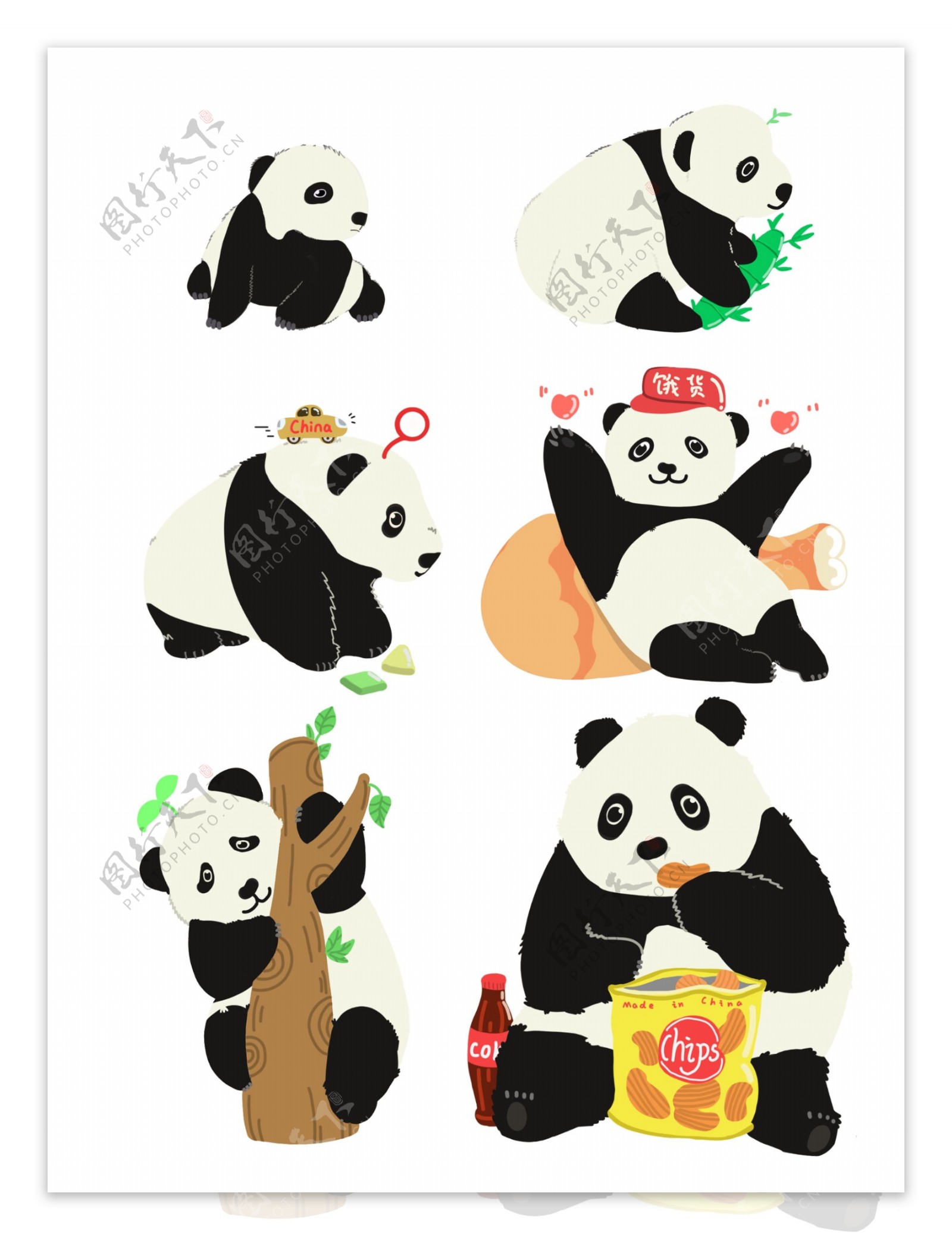 原创可爱动物生长成长熊猫国宝插画素材
